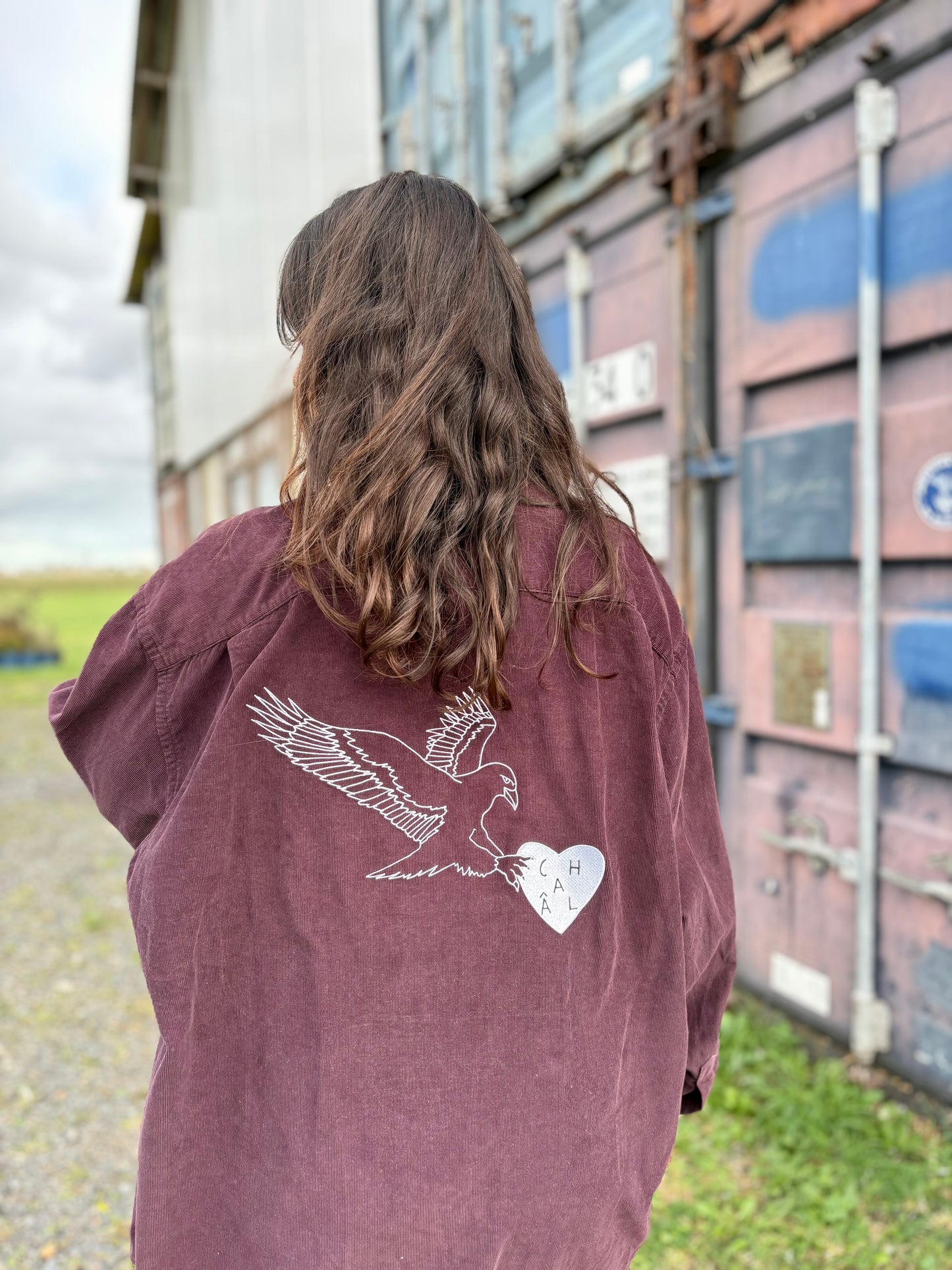 Chemise en velours : Aigle Voleur M