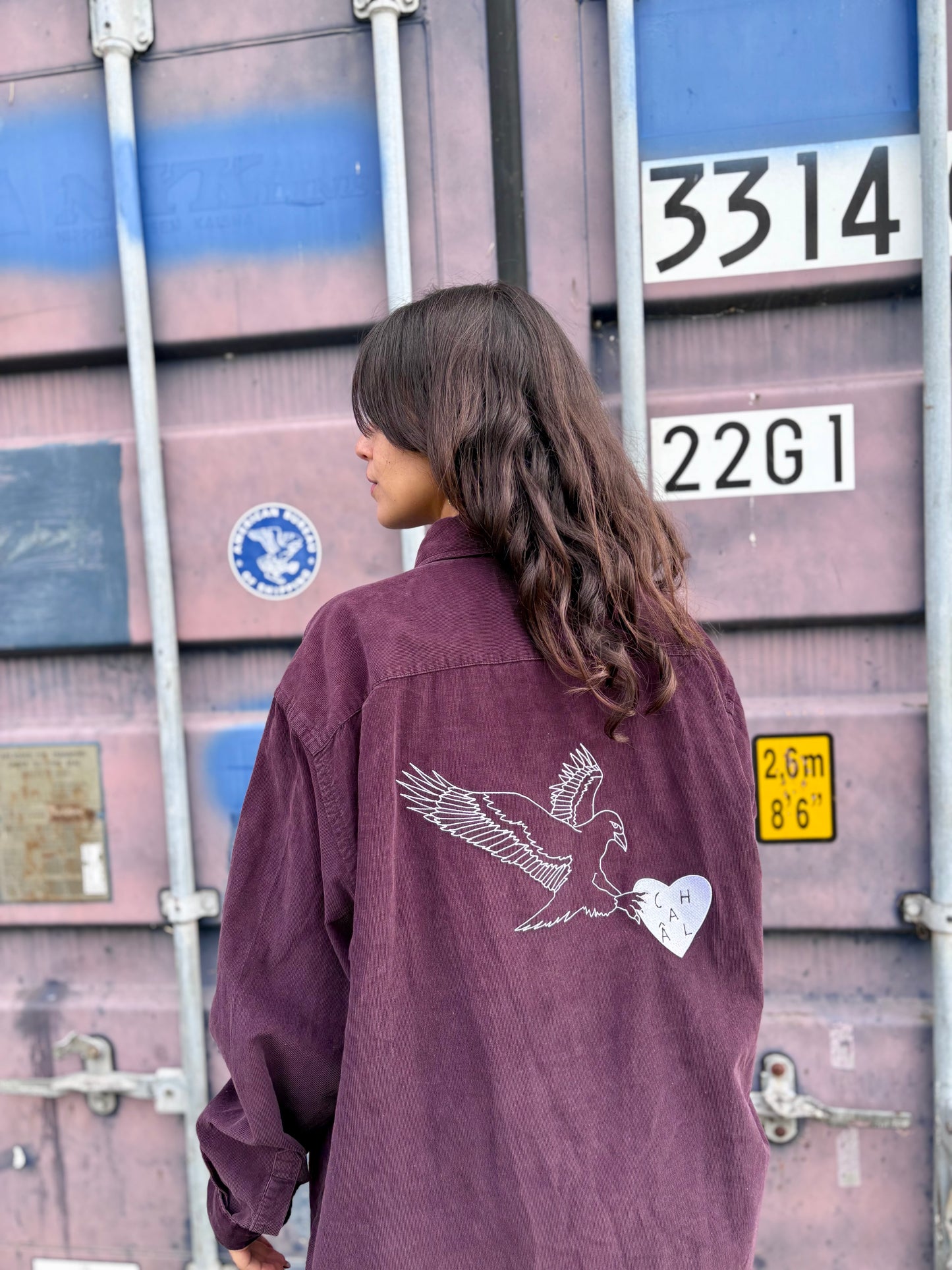 Chemise en velours : Aigle Voleur M